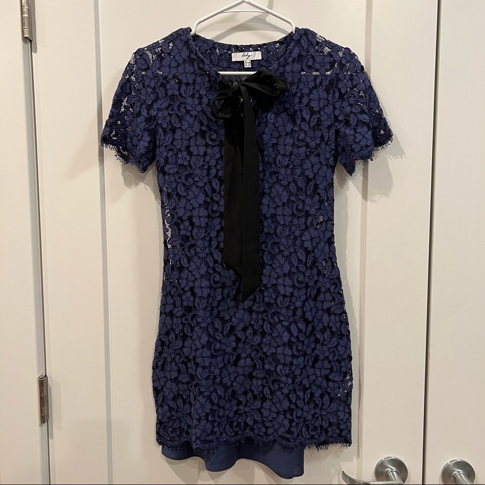 Lily Lace Elegant Dress